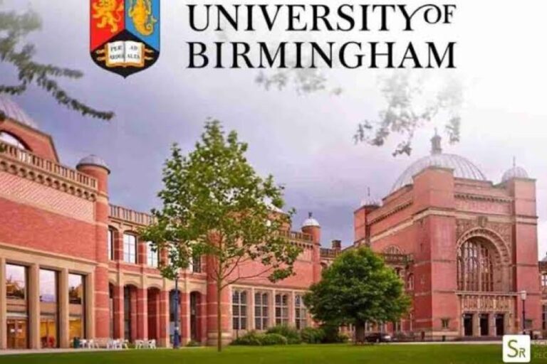 DeepMind Scholarship - Eureka Learners