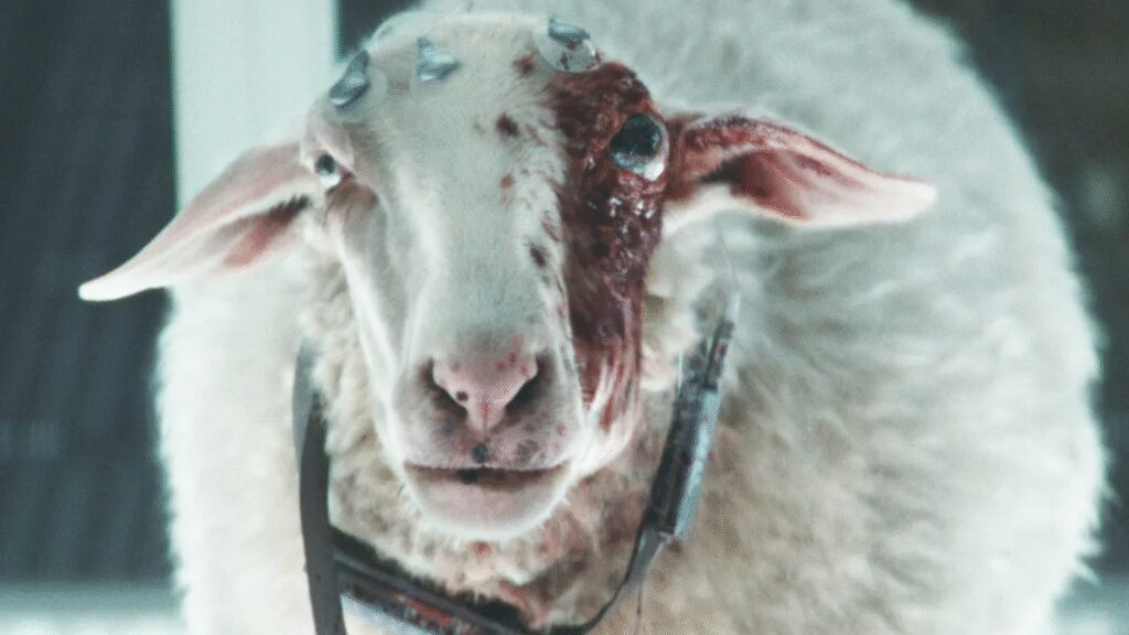 Meet Victoria the sheep, Alien: Earth’s creepiest creature