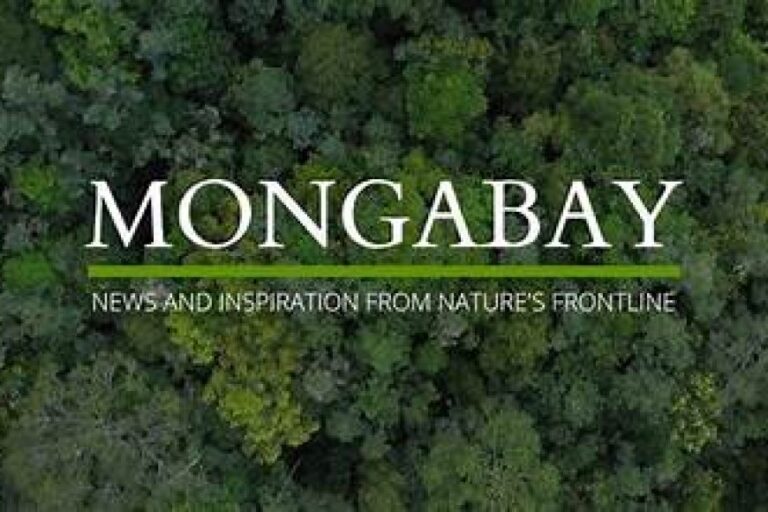 Mongabay Africa Scholarships 2024 for Environmental Journalism - Eureka Learners