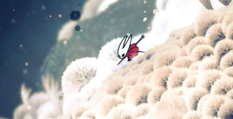 Silksong is the first Switch 2 game that fully justifies a Pro controller